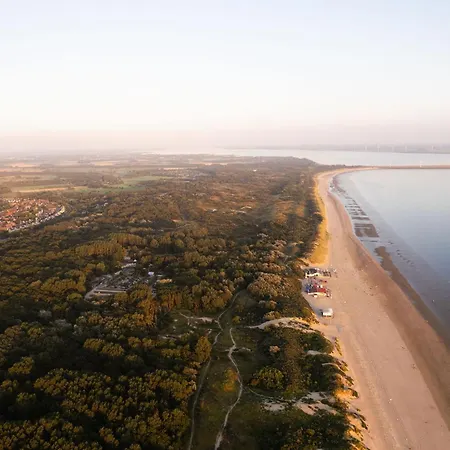 Отель Carlton Oasis