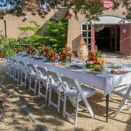 Szálloda Carlton Oasis 4*