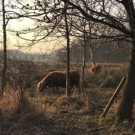 Carlton Oasis 4* Spijkenisse