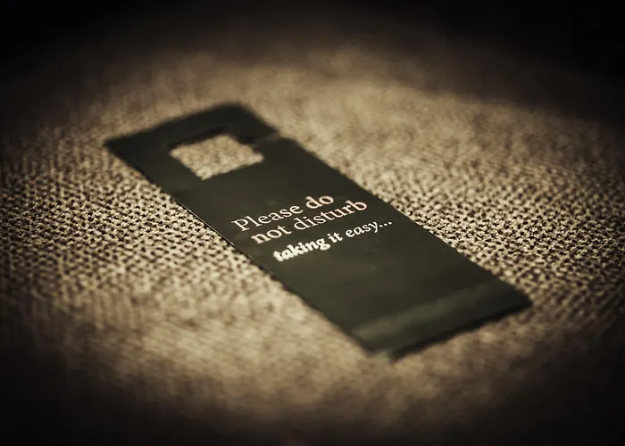 卡尔顿奥西斯酒店 4* 斯皮让塞