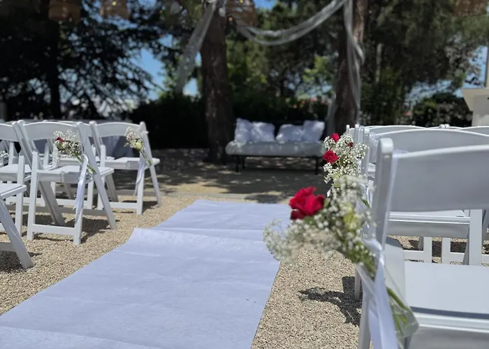 Carlton Oasis 호텔