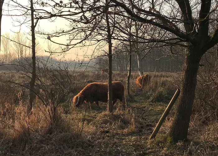 Carlton Oasis 4* Spijkenisse