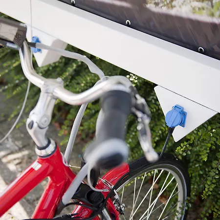 Carlton Oasis ホテル 4*