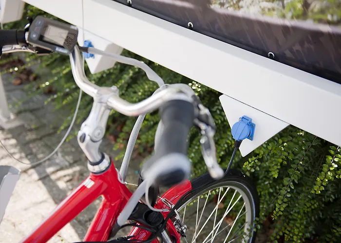 Carlton Oasis Otel 4*